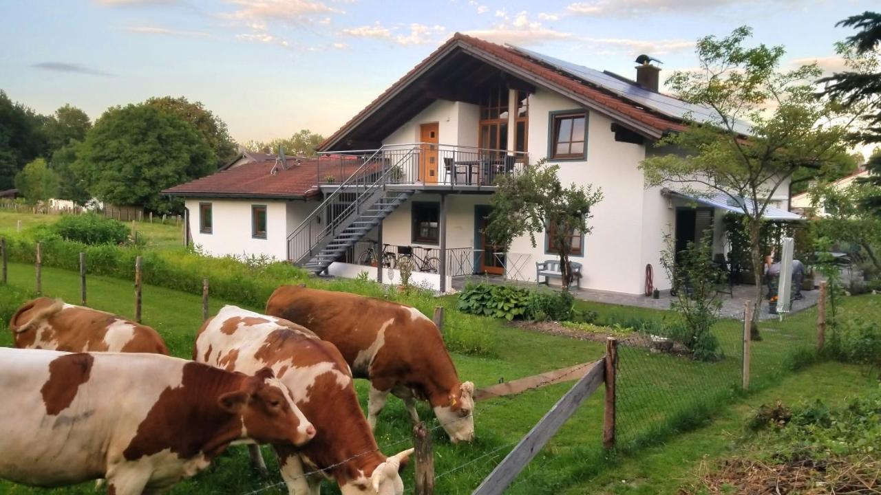 Exclusiv - Ferienwohnung Hinterreiter Ainring Bagian luar foto